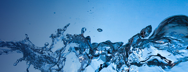 Engineered Liquids Commercialization Promotion Division