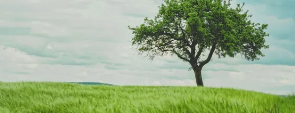 Environmental Initiatives