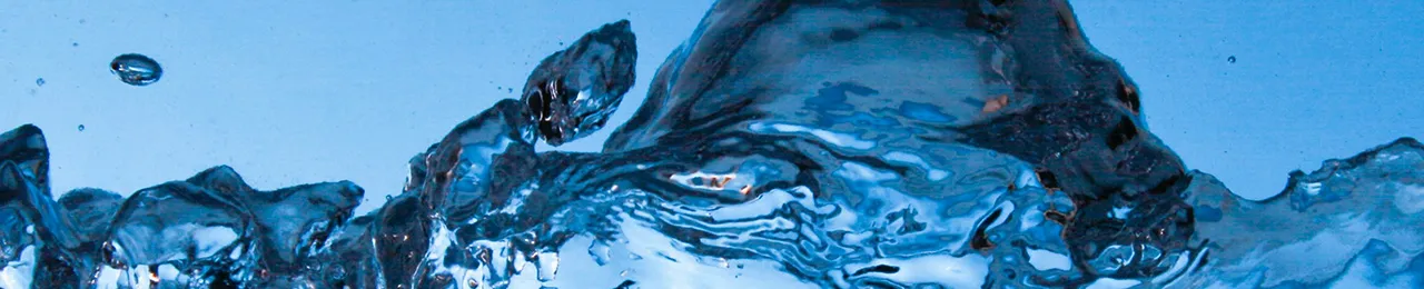 Engineered Liquids Commercialization Promotion Division