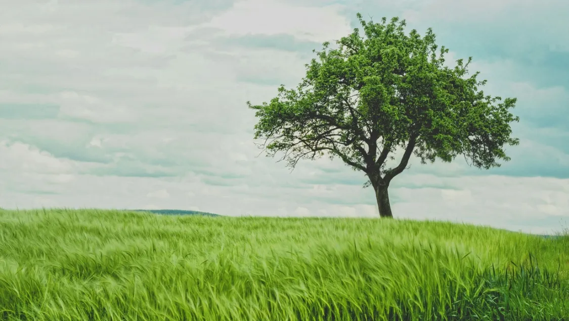 Sustainability Initiatives